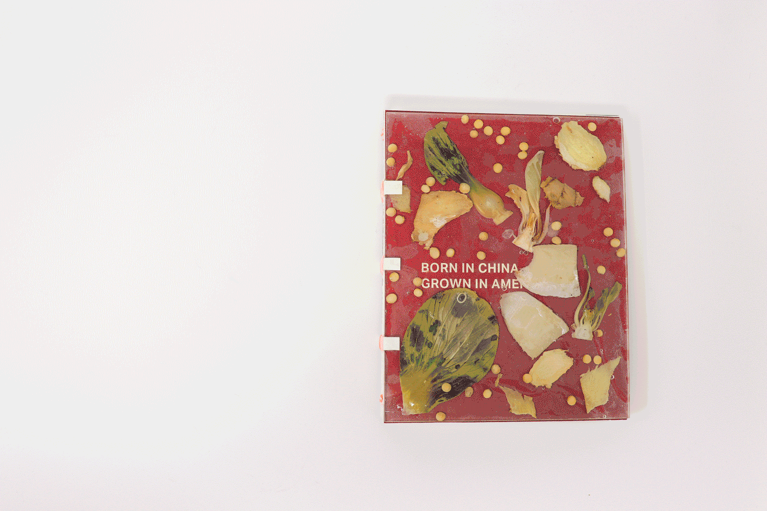 Publication flip-through