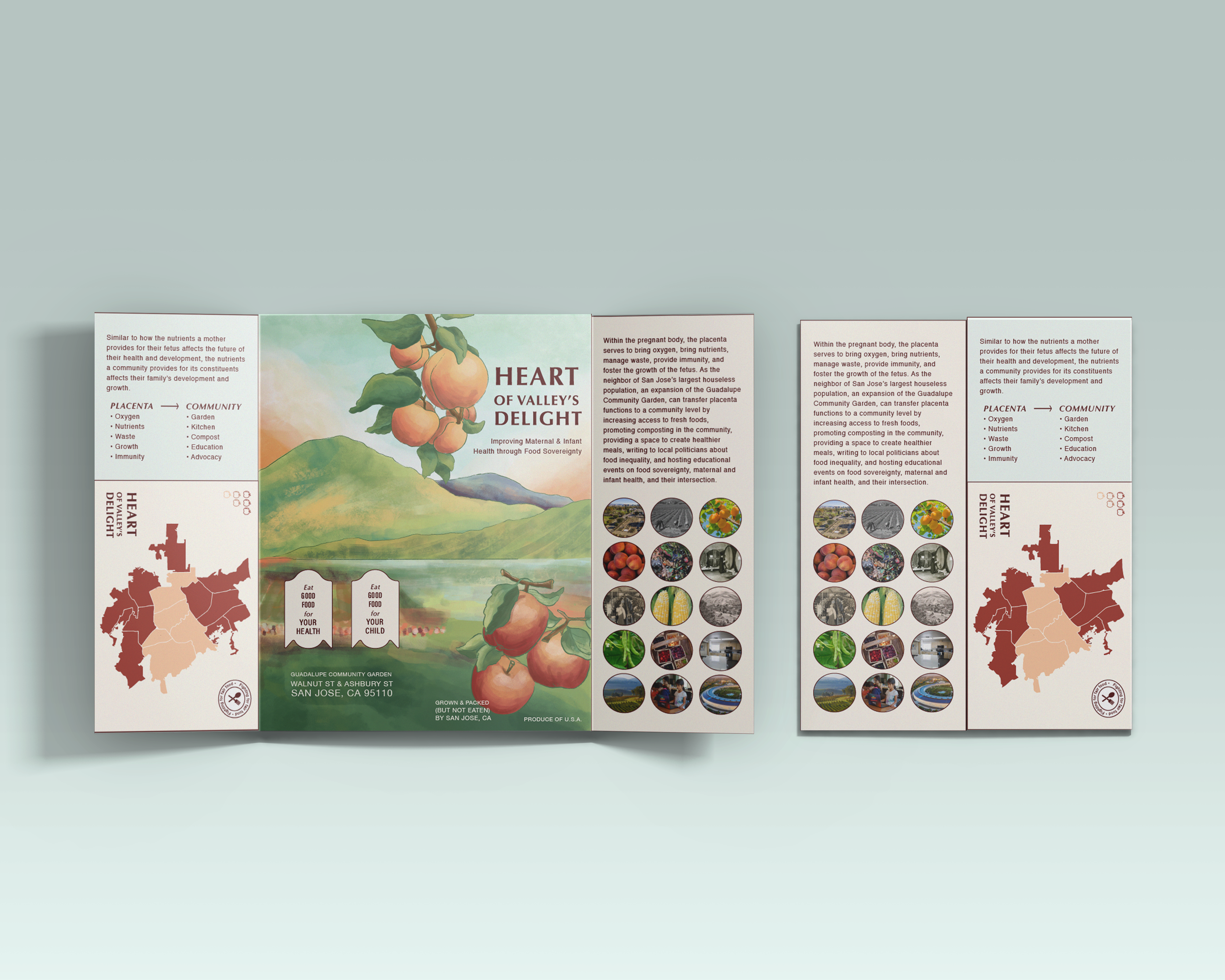 Heart of Valley's Delight brochure