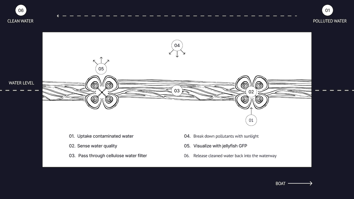 Kirage conceptual design