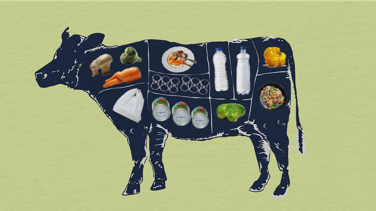 Redesigning Meat — timeline