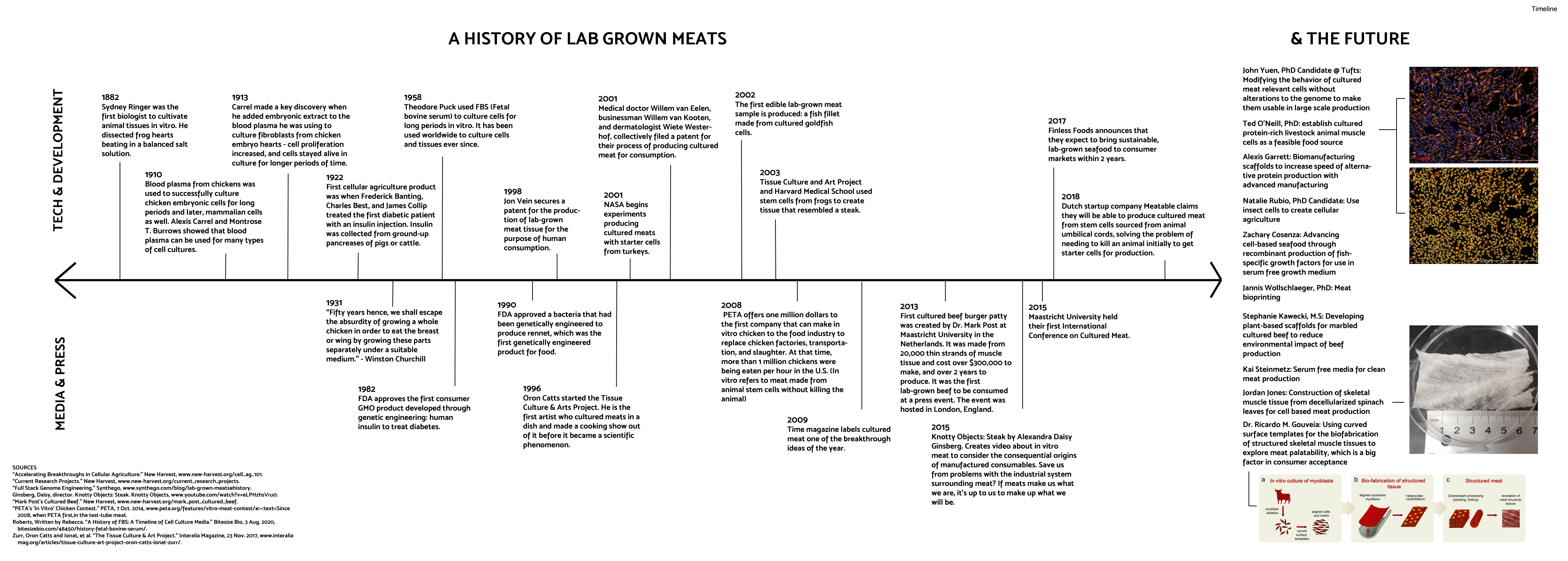 Redesigning Meat — timeline