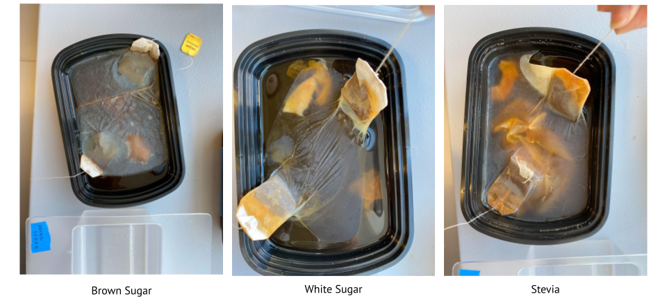 Experiment 1, week 2