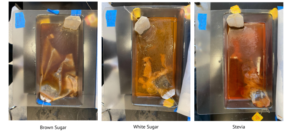 Experiment 1, week 4