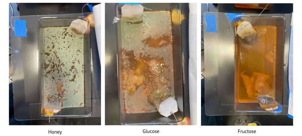 Experiment 1, week 4