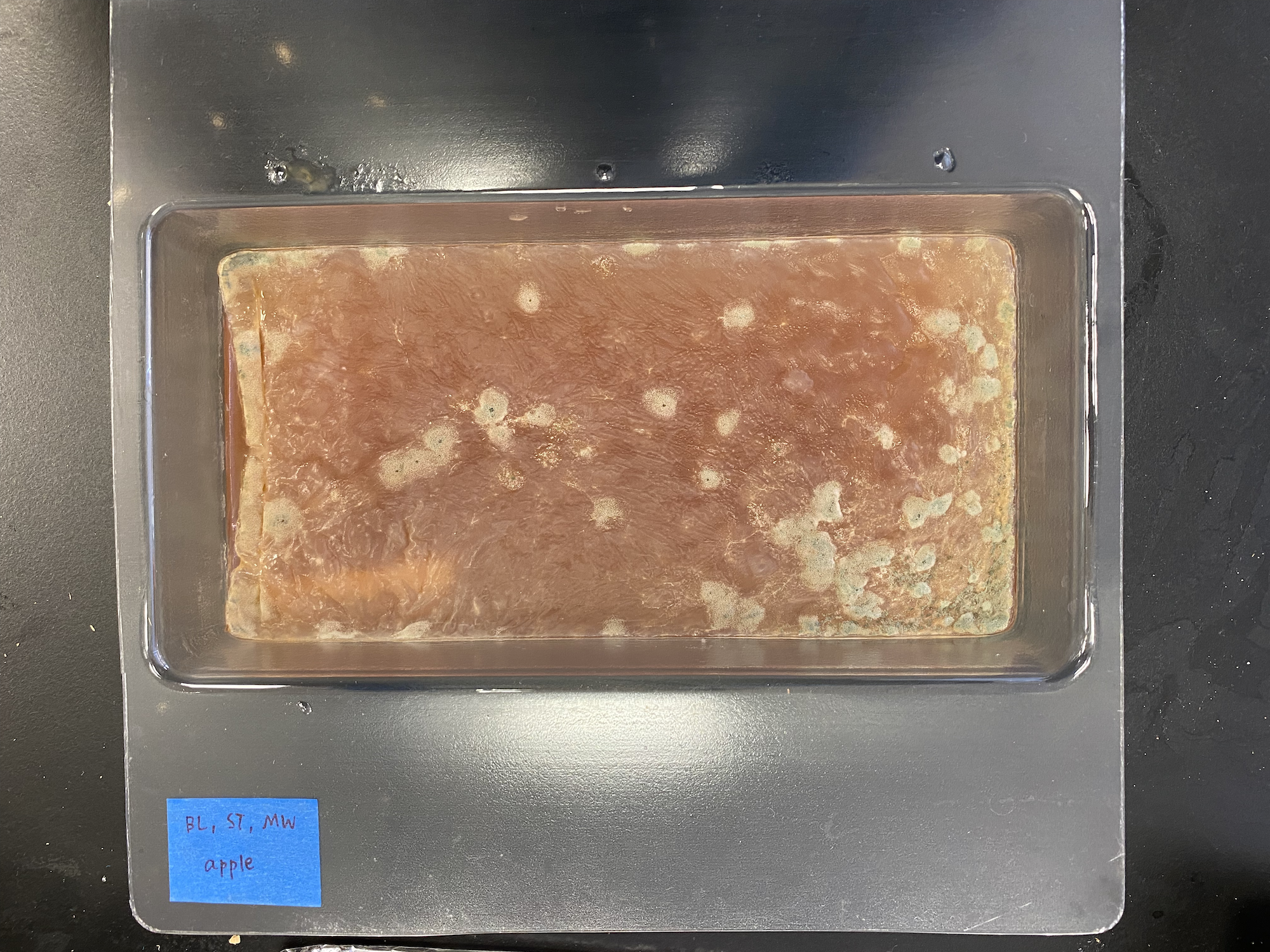 Experiment 2 — apple