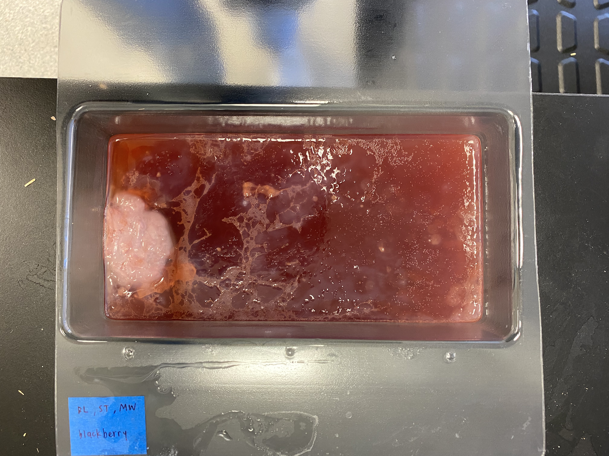 Experiment 2 — blackberry