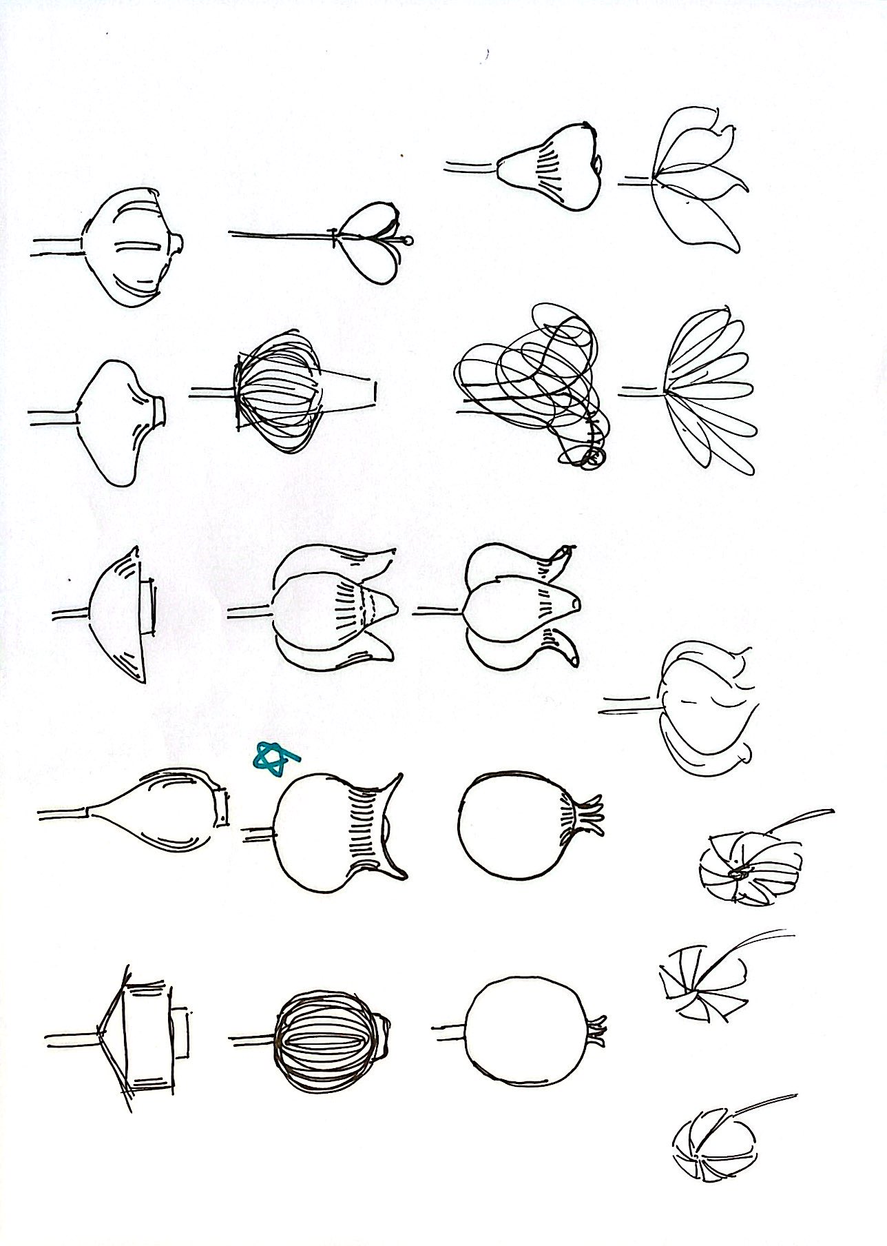 Sensing Garden initial sketches