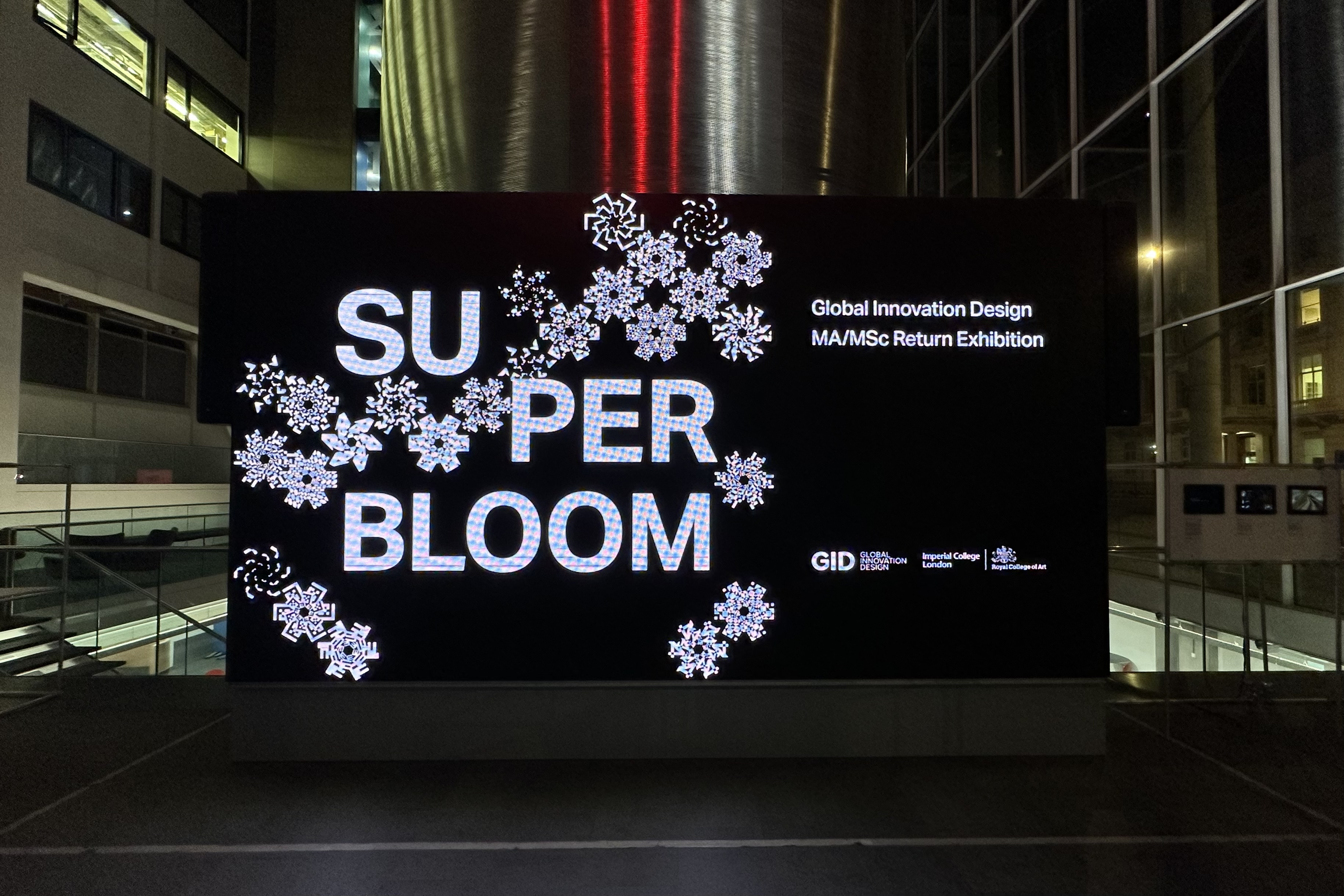 Superbloom exhibition installation