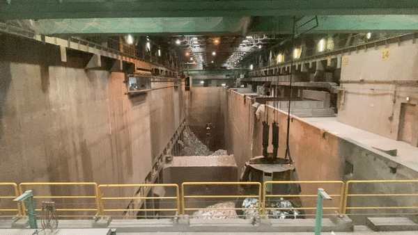 Vleur process animation